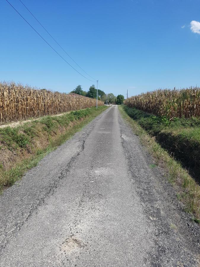 Gite Paisible Renove Hagetmau Exteriér fotografie
